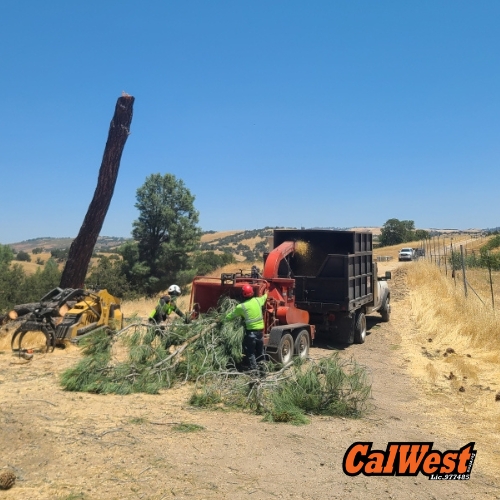 Brush Removal San Luis Obispo