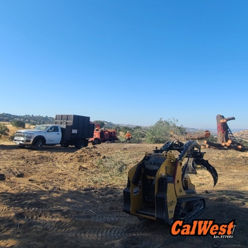 Land Clearing San Luis Obispo