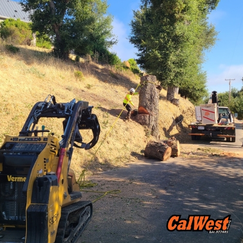 Landclearing San Luis Obispo