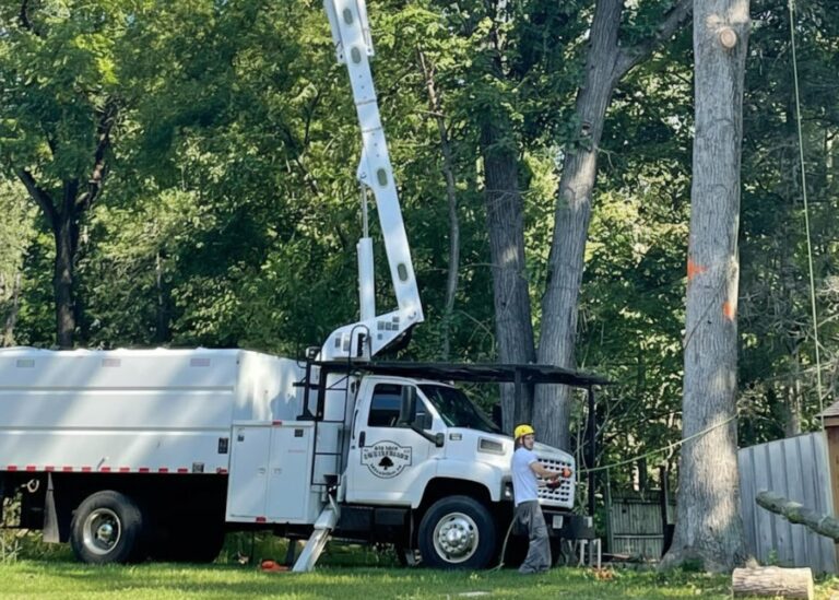 Tree Trimming San Luis Obispo
