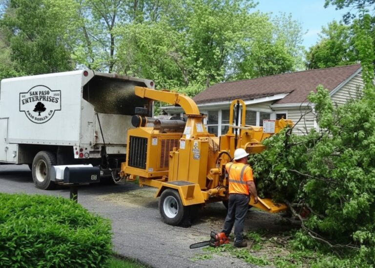 Tree Service Company San Luis Obispo